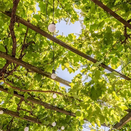 Rue Bien Assis Avec Jardin Terrasse *